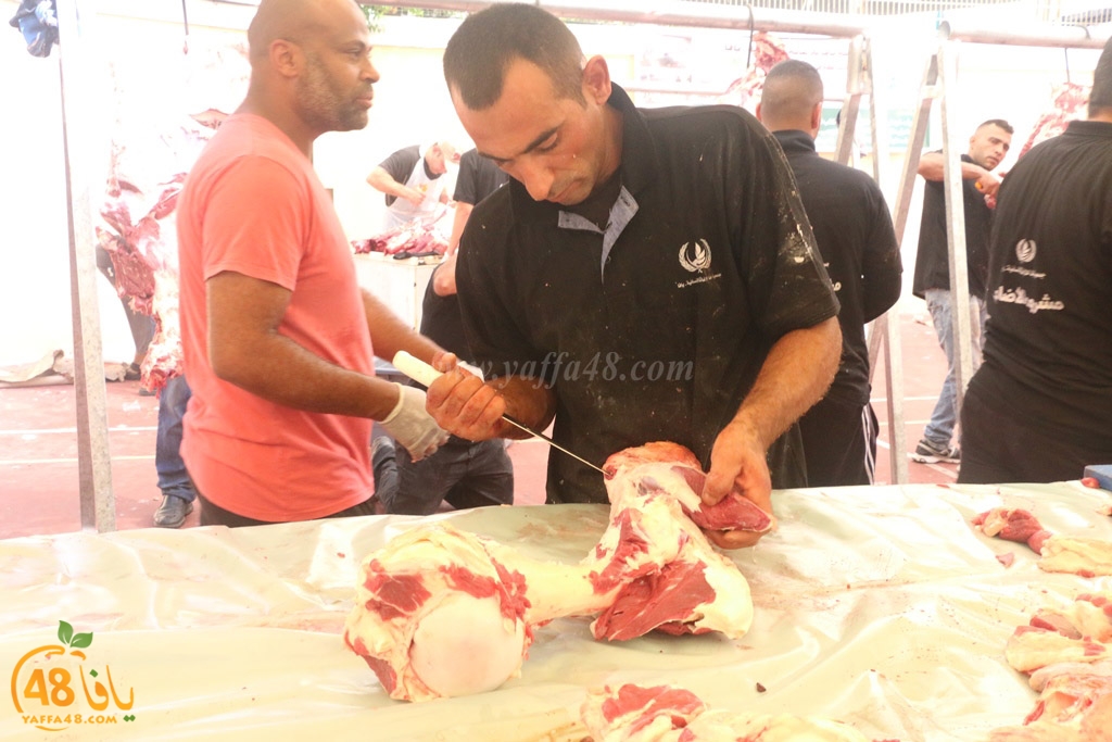 ada7y forthei (13).JPG